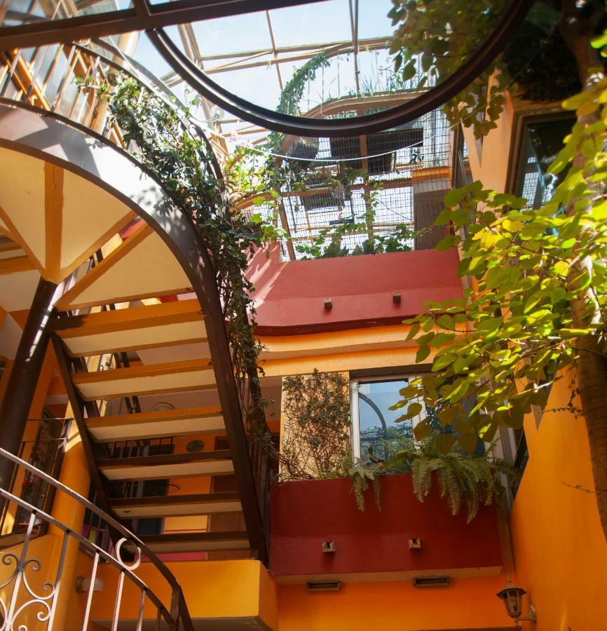 Chalet Del Carmen, Coyoacan Mexico City Exteriör bild